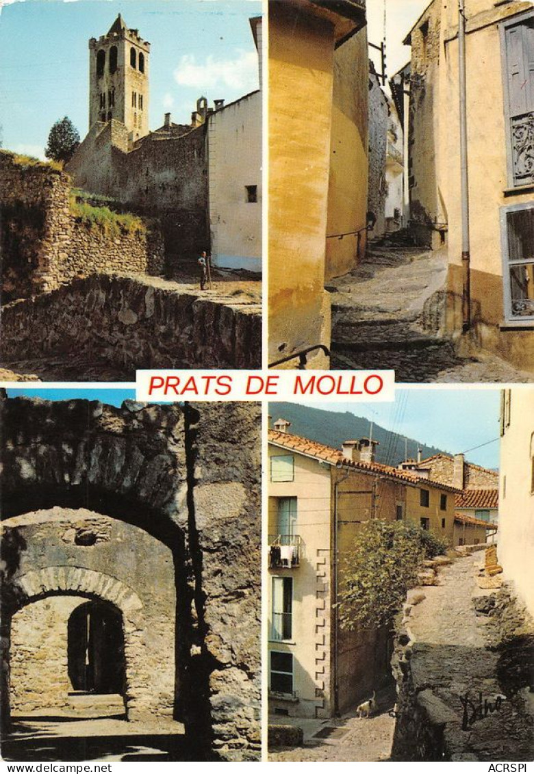 66 Prats-de-Mollo-la-Preste  Rues Du Village (Scan R/V) N°   38   \MT9129 - Ceret