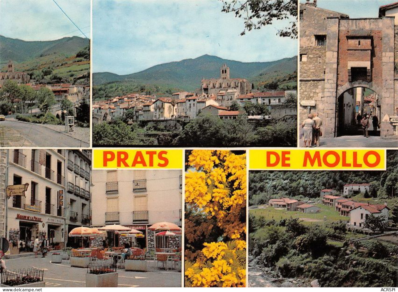 66 Prats-de-Mollo-la-Preste  (Scan R/V) N°   36   \MT9129 - Ceret