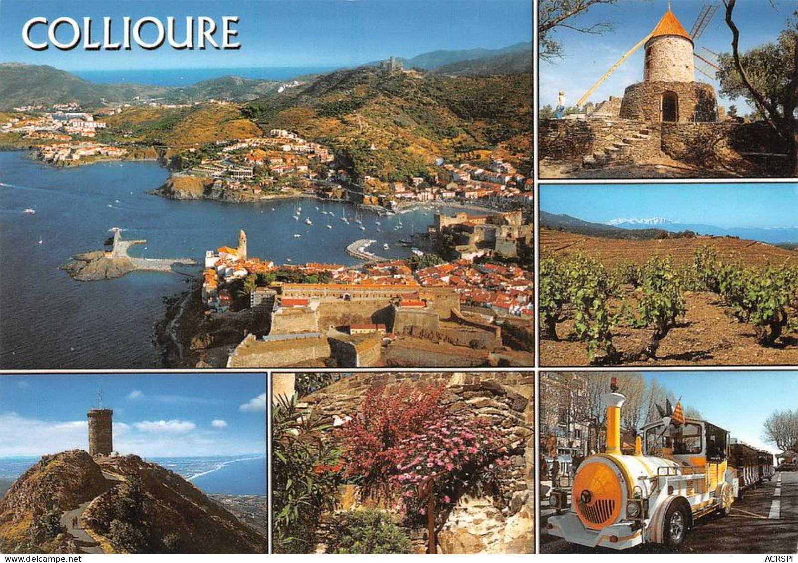 66 Collioure  Un Bonjour  (Scan R/V) N°   36   \MT9128 - Collioure