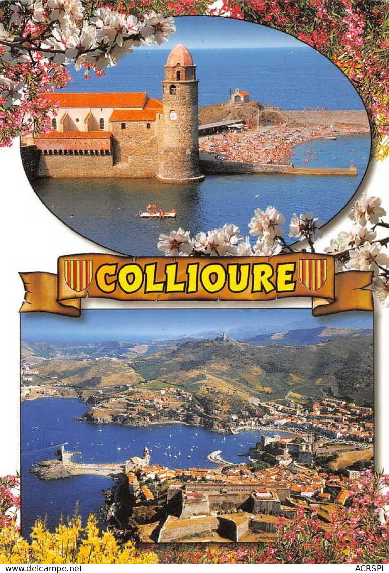 66 Collioure  Multivue (Scan R/V) N°   28   \MT9128 - Collioure