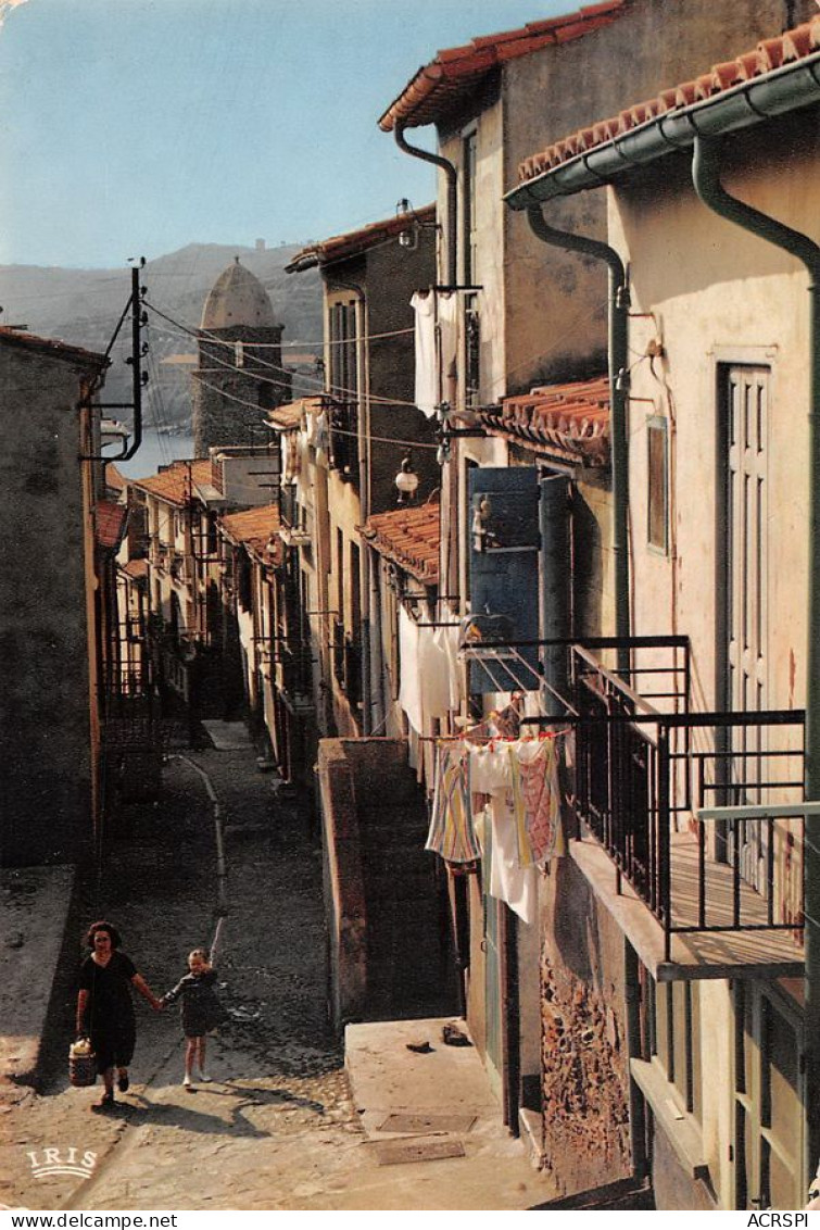 66 COLLIOURE Une Ruelle Vers Le Port (Scan R/V) N°   13   \MT9127 - Collioure