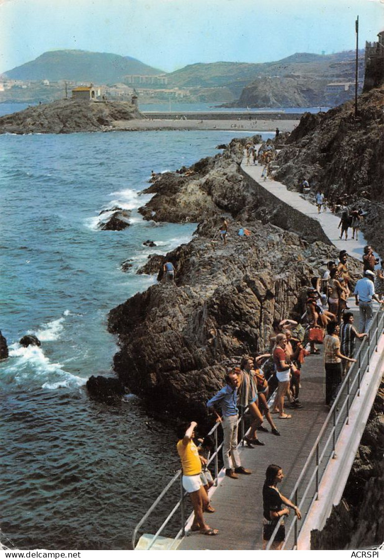 66 COLLIOURE  Vue De La Moulade La Chapelle  (Scan R/V) N°   15   \MT9127 - Collioure