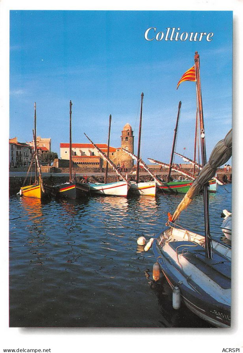 66 COLLIOURE  Port Et Barques CATALANES  (Scan R/V) N°   24   \MT9127 - Collioure