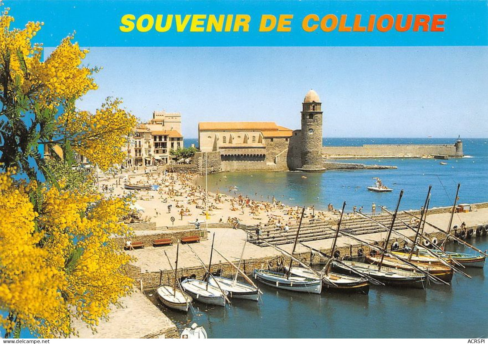 66 COLLIOURE  Les Barques De Pêche Souvenir  (Scan R/V) N°   36   \MT9127 - Collioure