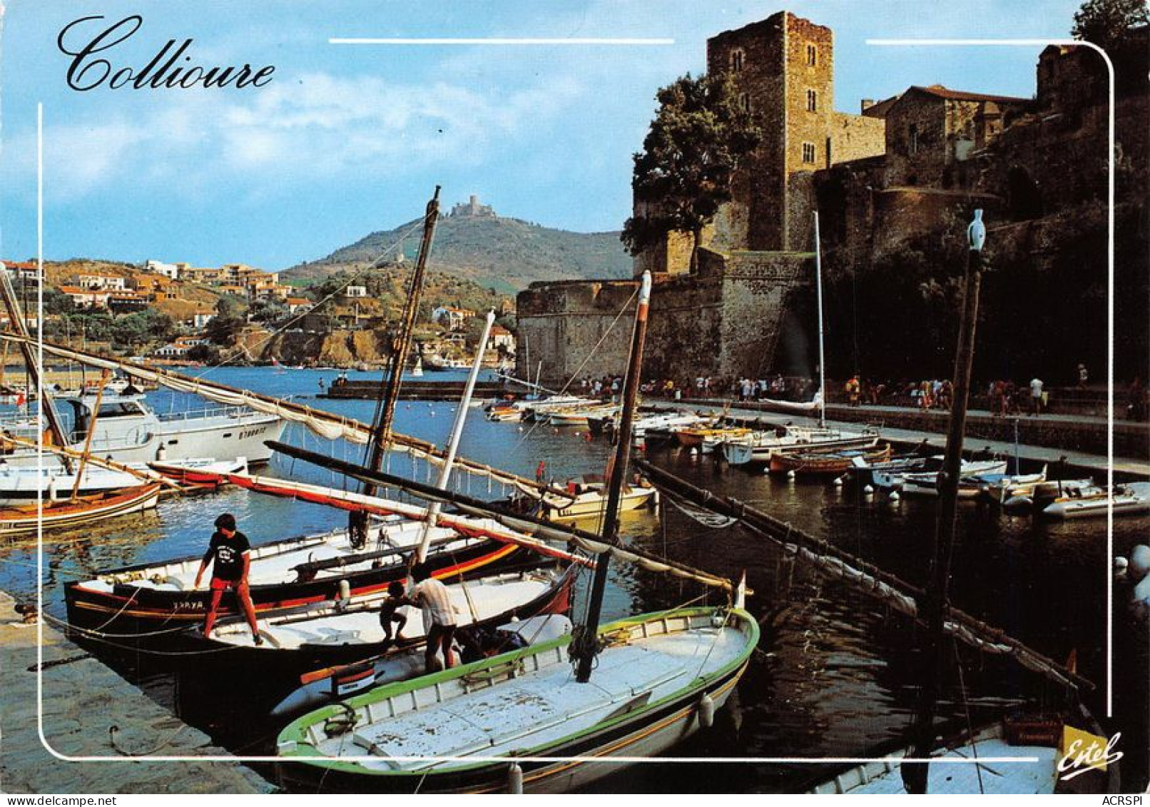 66 COLLIOURE  Les Barques De Pêche   (Scan R/V) N°   37   \MT9127 - Collioure