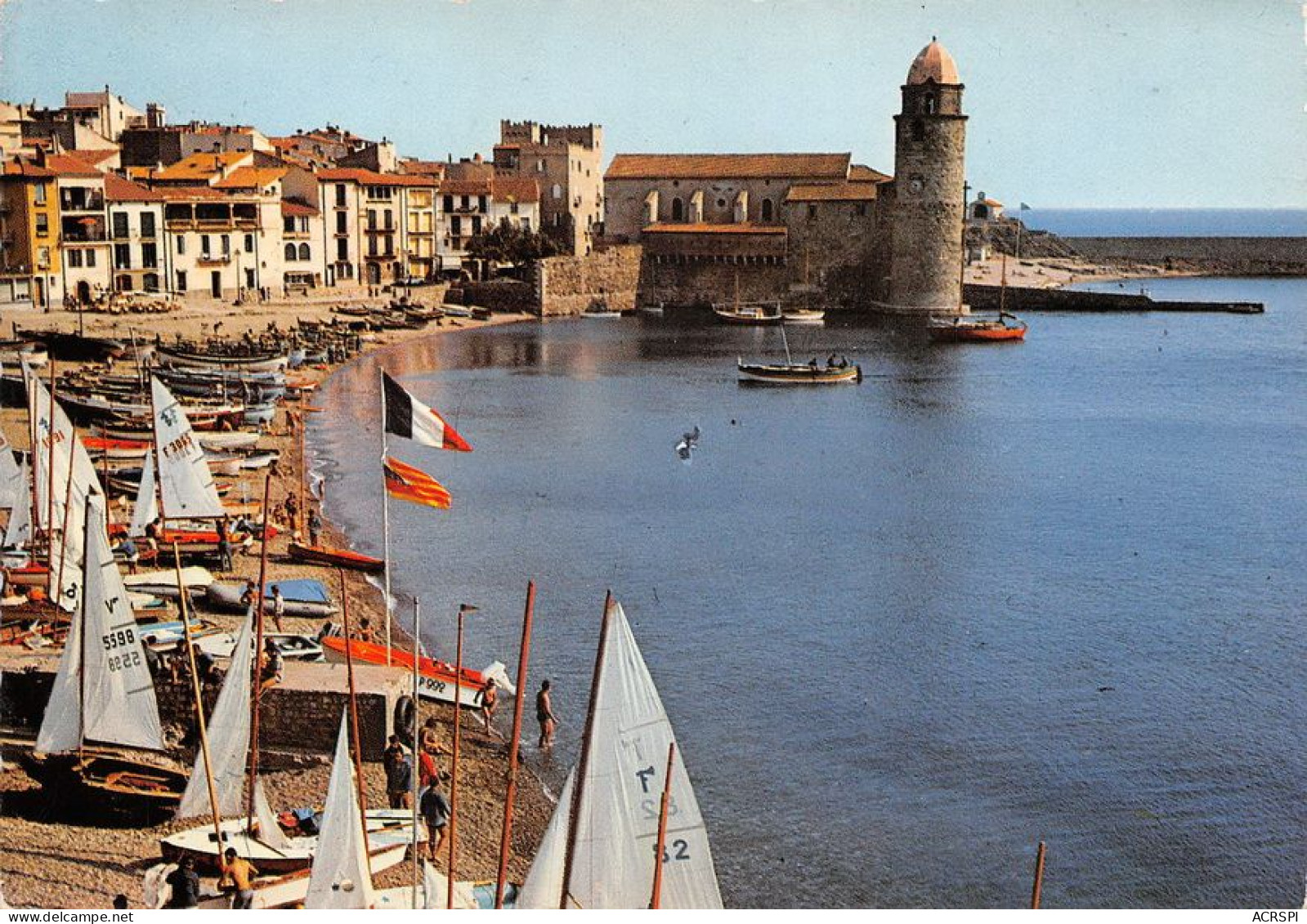 66 COLLIOURE  La Rade Et Ses Voiliers  (Scan R/V) N°   27   \MT9127 - Collioure