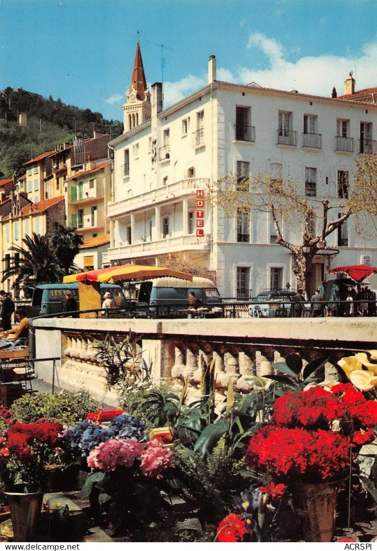 66 Amélie-les-Bains-Palalda  Hotel Le Mondony   (Scan R/V) N°   22   \MT9126 - Ceret