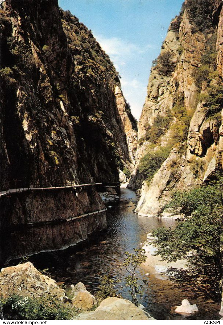 66 Amélie-les-Bains-Palalda  Gorges De Mondony  (Scan R/V) N°   25   \MT9126 - Ceret