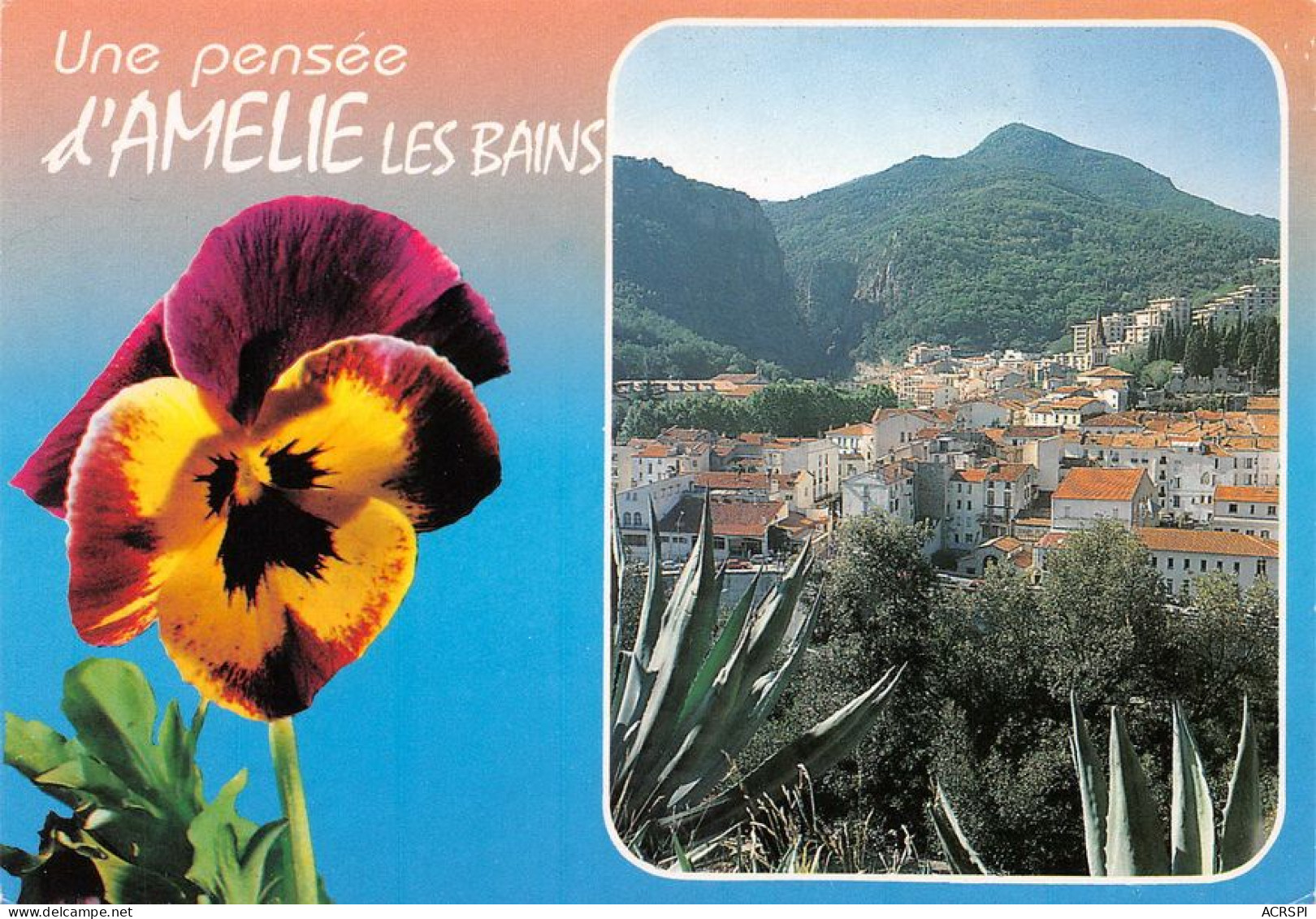 66 Amélie-les-Bains-Palalda   Vue Générale    (Scan R/V) N°   16   \MT9126 - Ceret