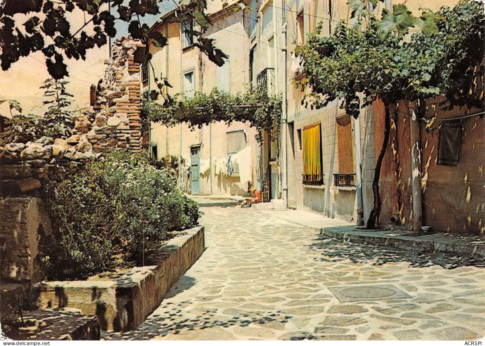 66 Banyuls-sur-Mer  La Vieille Rue Fleurie     (Scan R/V) N°   8   \MT9125 - Banyuls Sur Mer