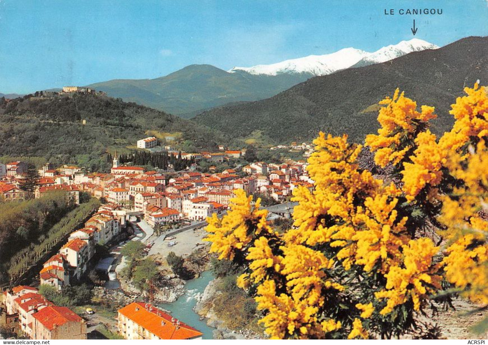 66 Amélie-les-Bains-Palalda  Vue Générale Et Canigou  (Scan R/V) N°   52   \MT9125 - Ceret