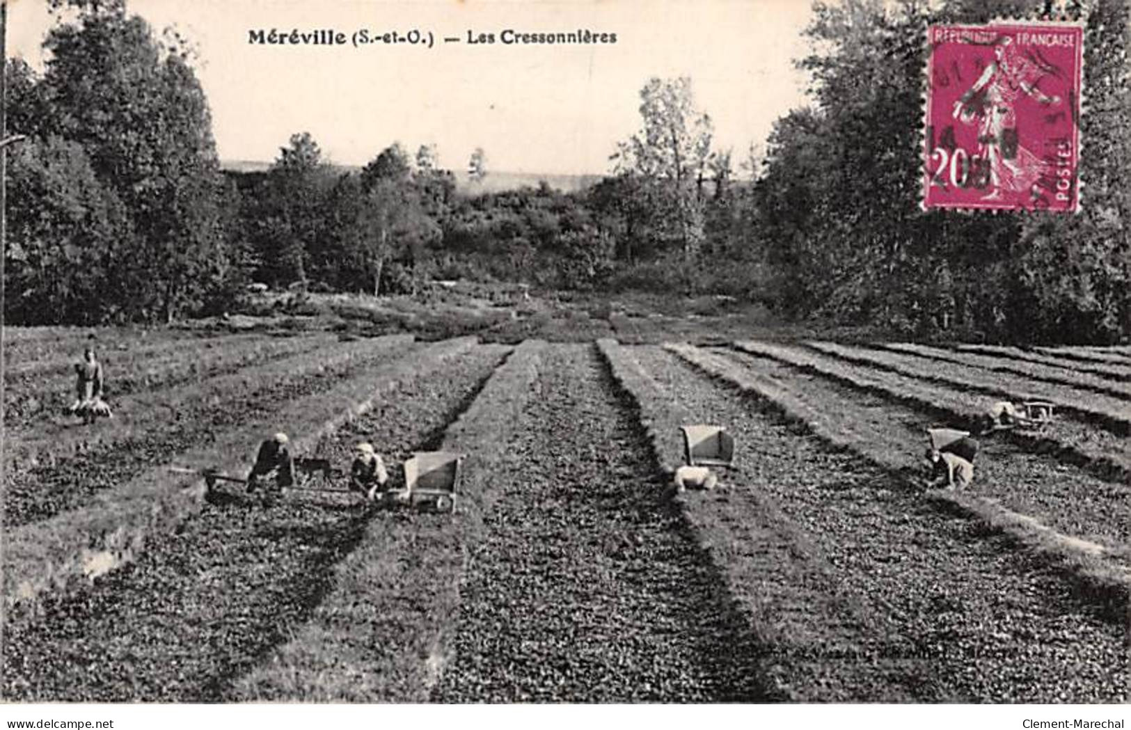 MEREVILLE - Les Cressonnières - Très Bon état - Mereville