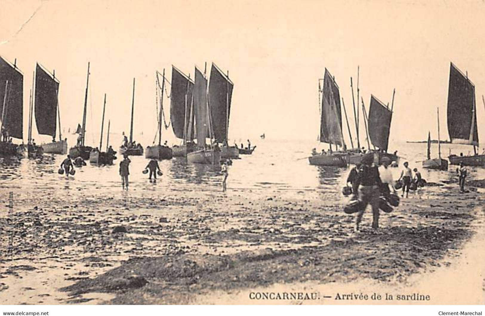 CONCARNEAU - Arrivée De La Sardine - état - Concarneau