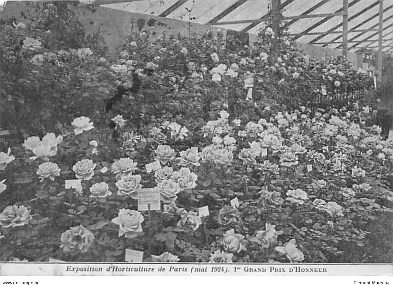 IVRY SUR SEINE - LEVEQUE & FILS Horticulteurs - Exposition D'Horticulture De Paris 1924 - 1er Grand Prix D'Honneu - état - Ivry Sur Seine