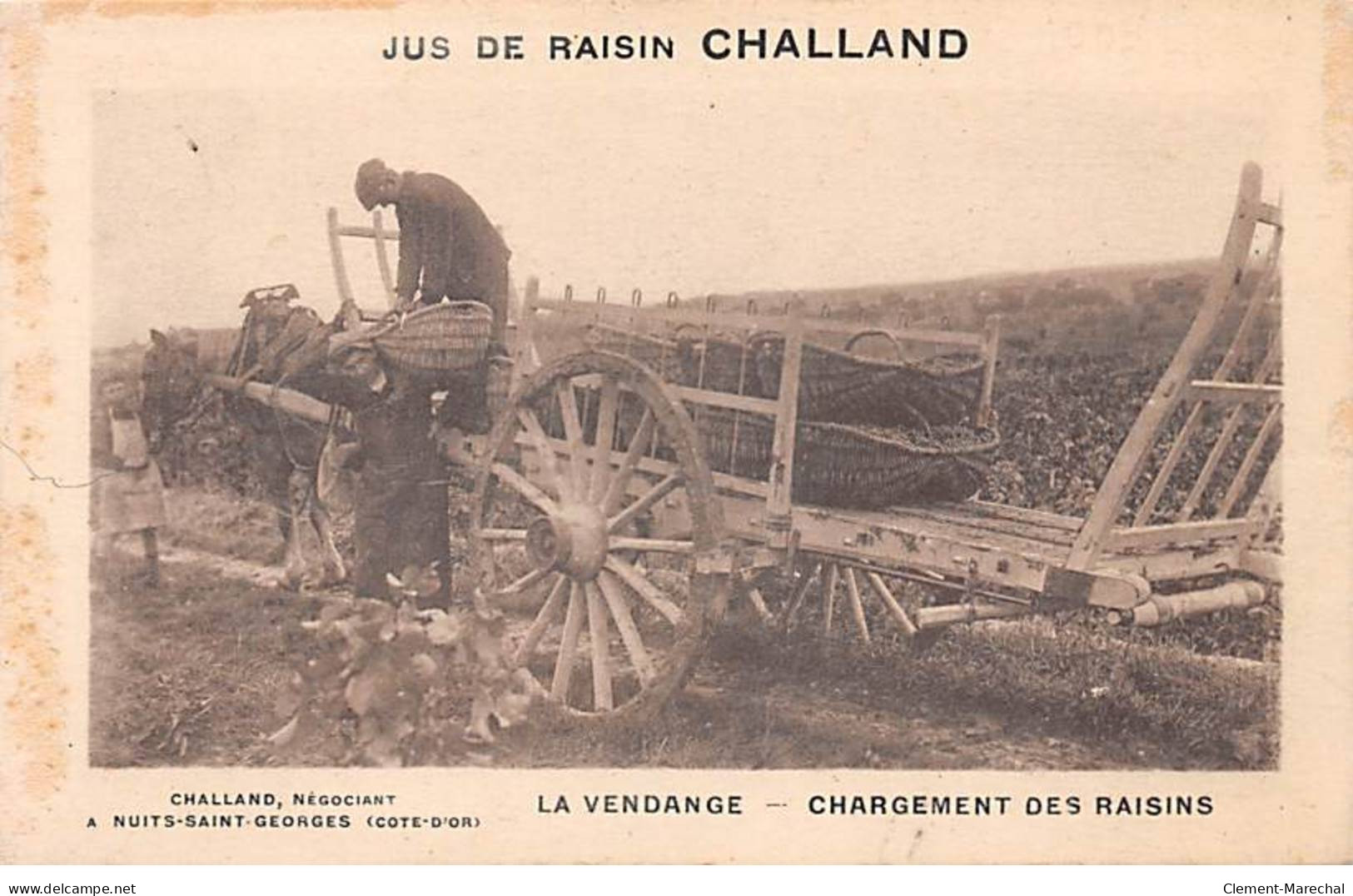 CHALLAND, Négociant à NUITS SAINT GEORGES - La Vendange - Chargement Des Raisins - Très Bon état - Nuits Saint Georges