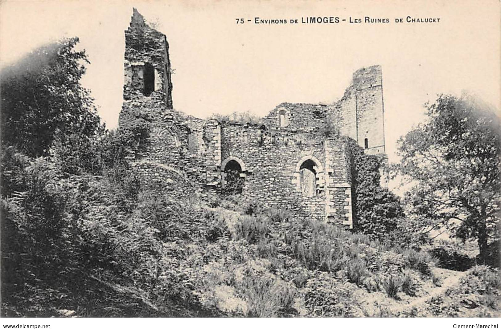 Environs De LIMOGES - Les Ruines De CHALUCET - Très Bon état - Limoges