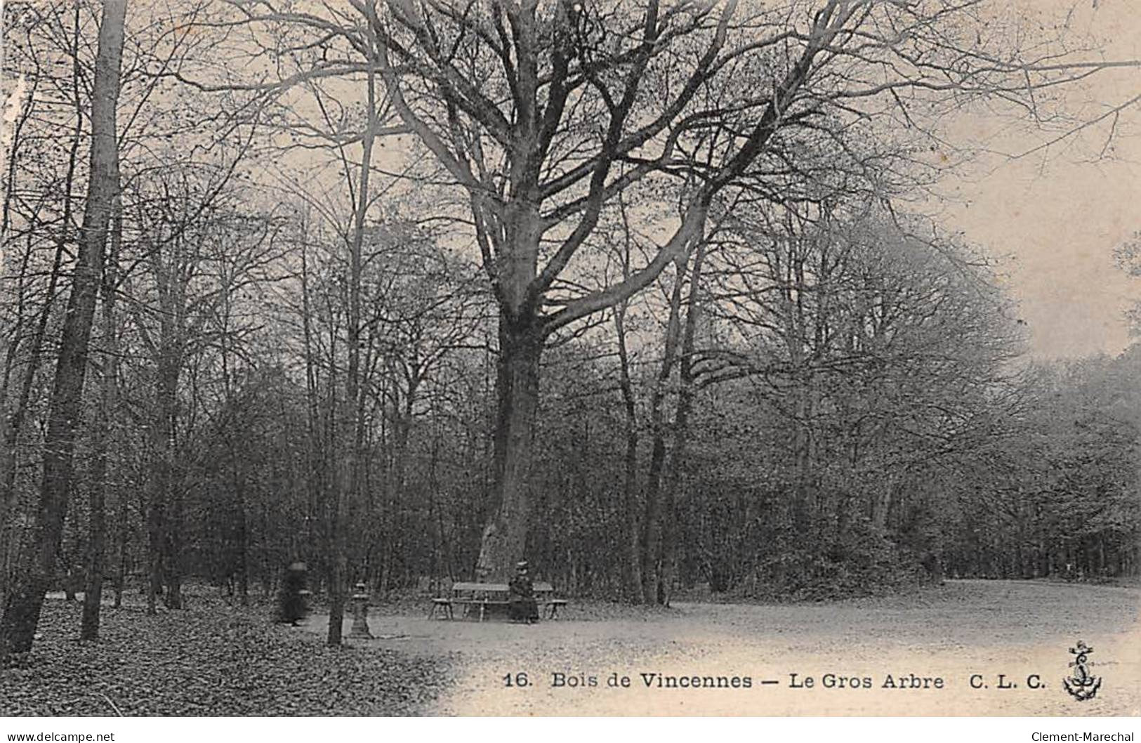 Bois De VINCENNES - Le Gros Arbre - Très Bon état - Vincennes