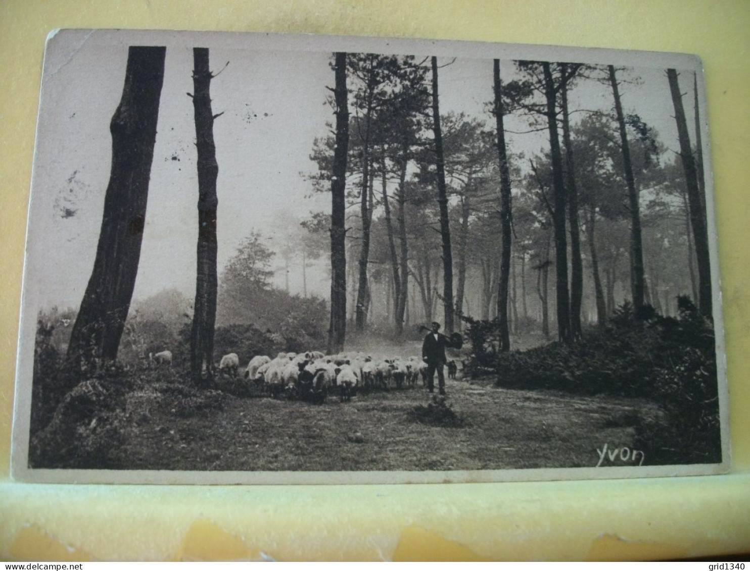 40 3602 LOT N° 1 DE 15 CPA DIFFERENTES SUR  LES BERGERS ET MOUTONS DANS LES LANDES