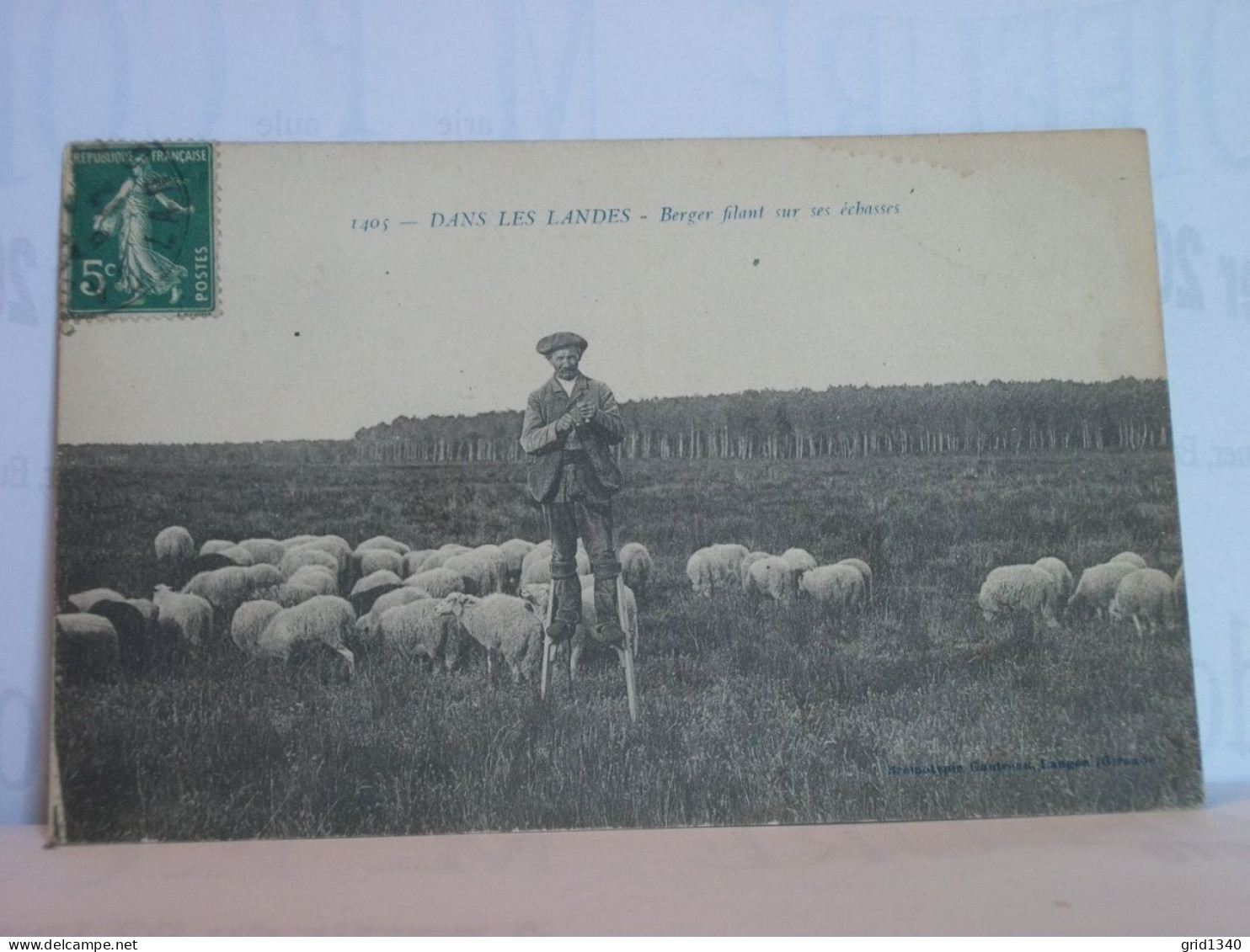 40 3602 LOT N° 1 DE 15 CPA DIFFERENTES SUR  LES BERGERS ET MOUTONS DANS LES LANDES