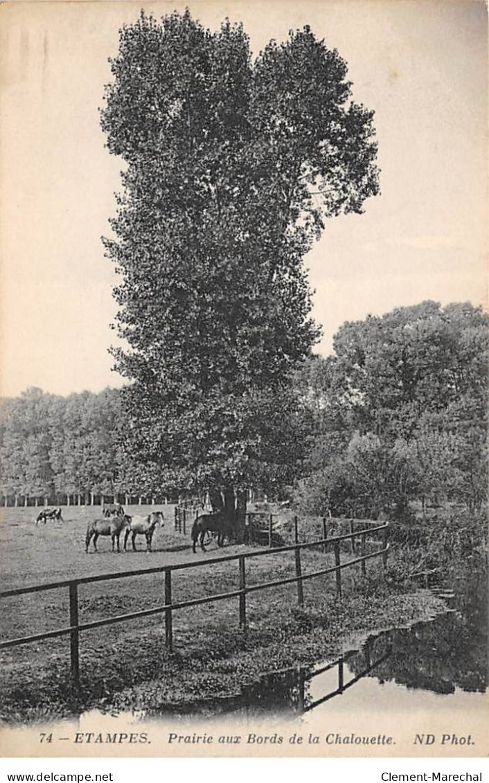 ETAMPES - Prairie Aux Bords De La Chalouette - Très Bon état - Etampes