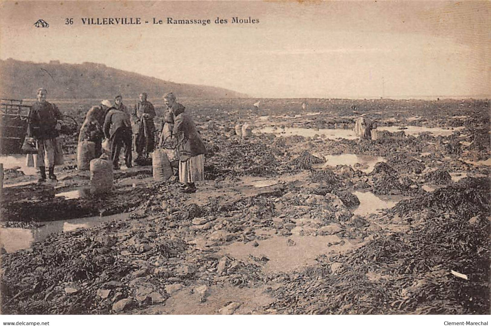 VILLERVILLE - Le Ramassage Des Moules - Très Bon état - Villerville