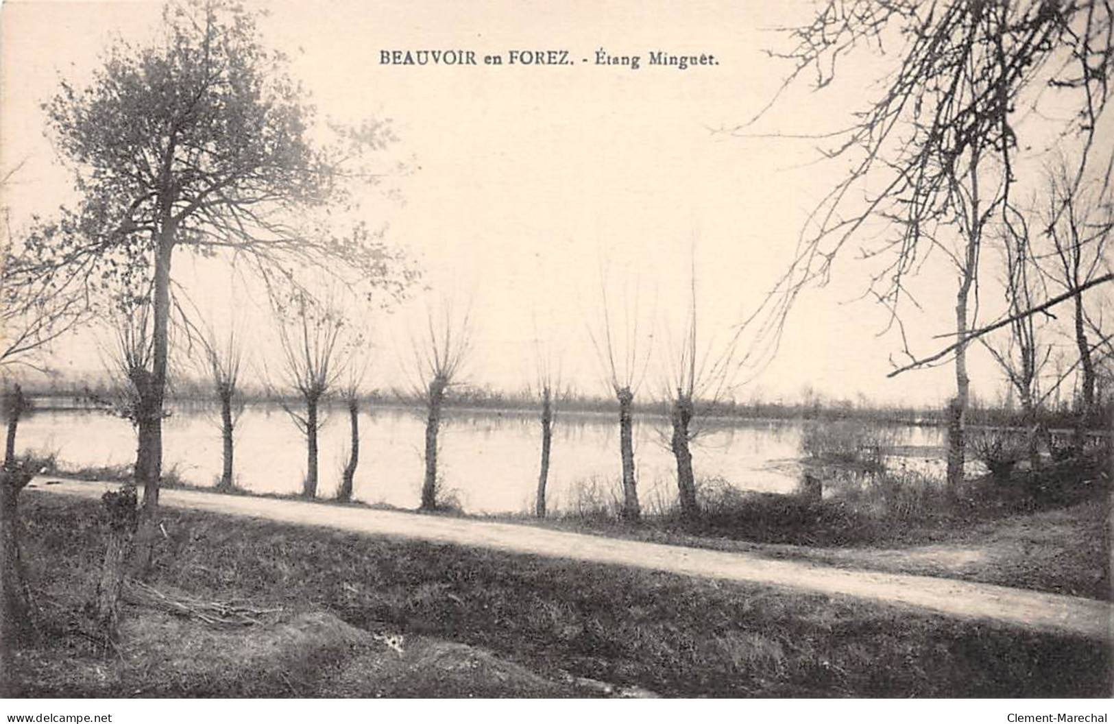 BEAUVOIR EN FOREZ - Etang Minguèt - Très Bon état - Autres & Non Classés