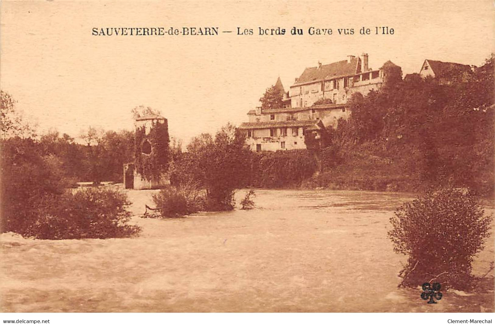 SAUVETERRE DE BEARN - Les Bords Du Gave Vus De L'Ile - Très Bon état - Sauveterre De Bearn
