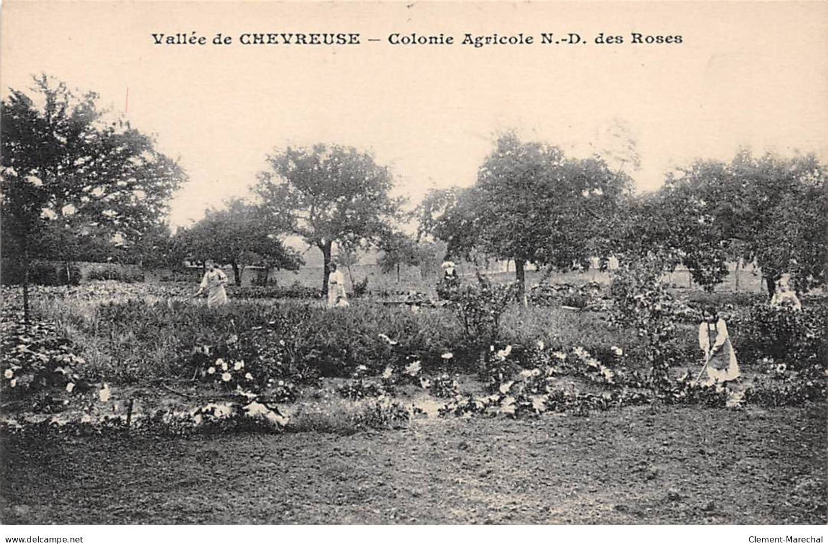 Vallée De CHEVREUSE - Colonie Agricole Notre Dame Des Roses - Très Bon état - Chevreuse