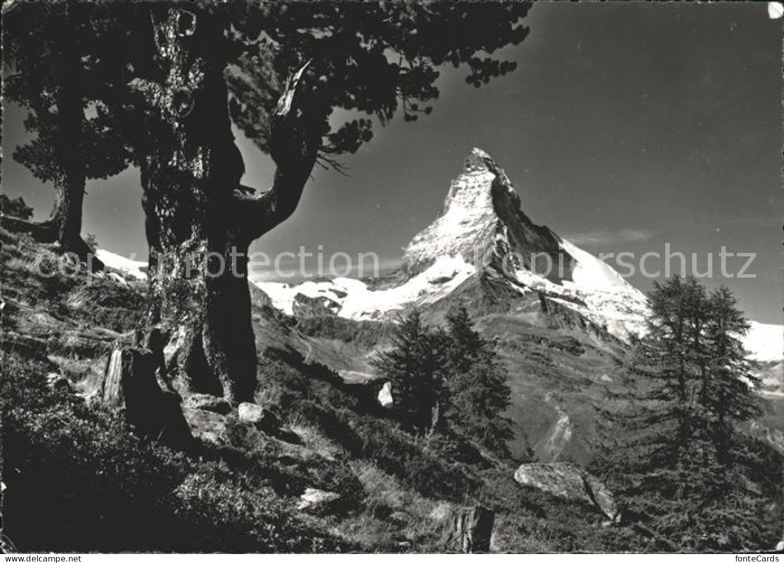 11638867 Matterhorn VS Riffelalp Zermatt Matterhorn VS - Autres & Non Classés
