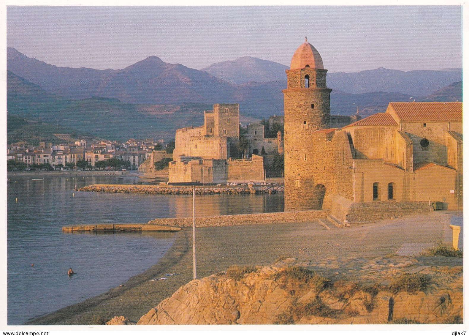 66 Collioure Vue Générale - Collioure