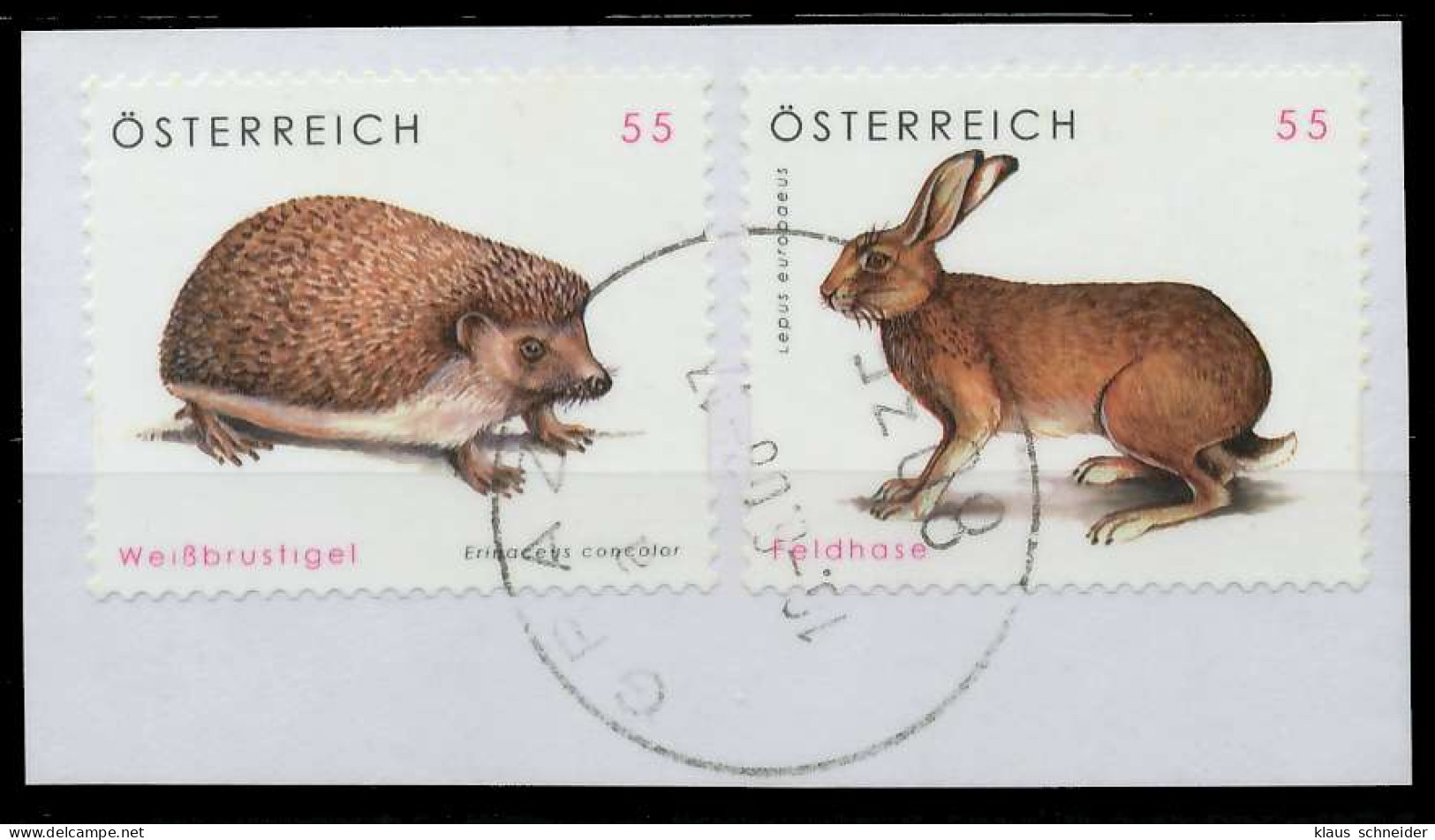 ÖSTERREICH 2008 Nr 2729-2730 Gestempelt X21E7FA - Used Stamps