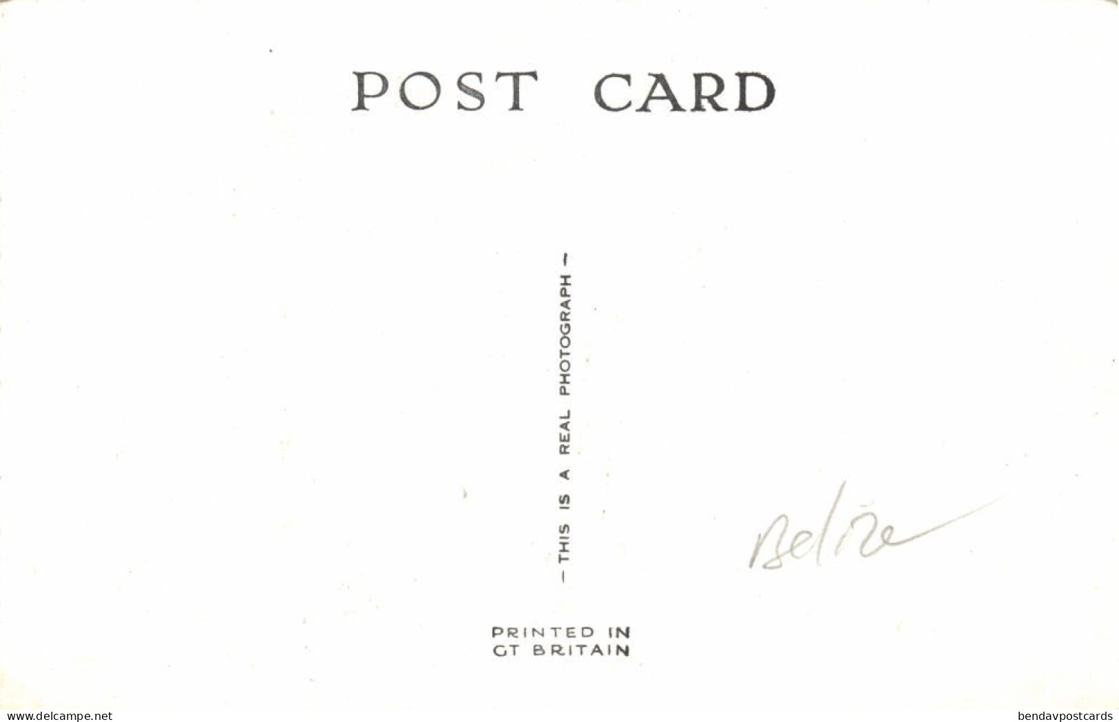 British Honduras, BELIZE, Rendezvous Caye, Palm Trees (1950s) RPPC Postcard - Belice