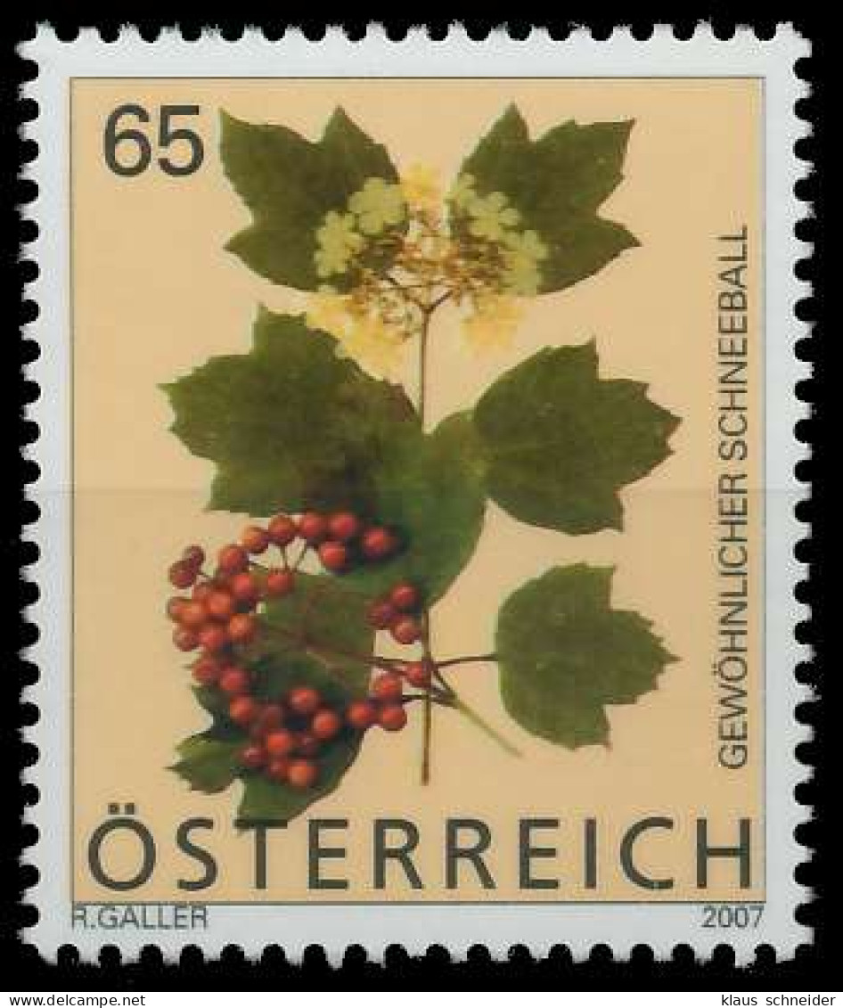 ÖSTERREICH 2007 Nr 2680 Postfrisch SD0C6C2 - Ongebruikt