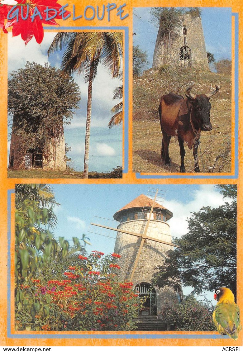 97 GUADELOUPE  Moulin à Sucre Grande-terre  (Scan R/V) N°   36   \PB1110 - Pointe A Pitre