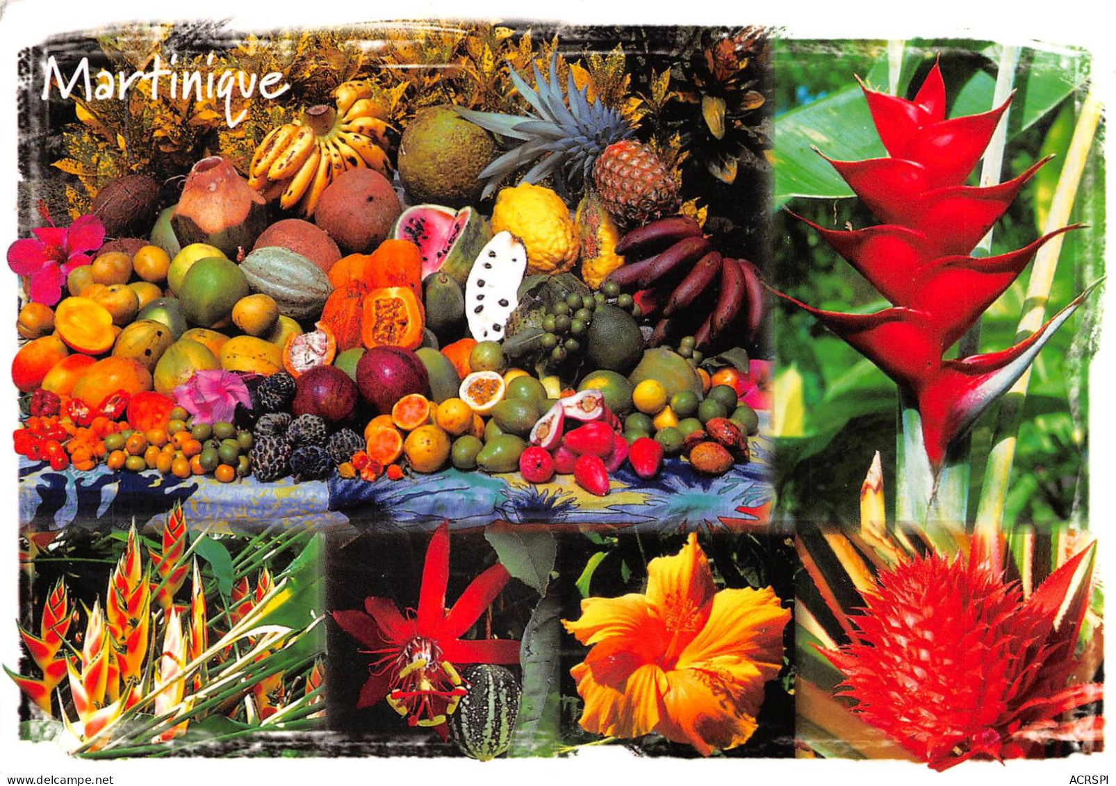 97 MARTINIQUE  Création Florale Et Fruits Des Tropiques Par André EXBRAYAT Fort De France  (Scan R/V) N°  38   \PB1109 - Fort De France