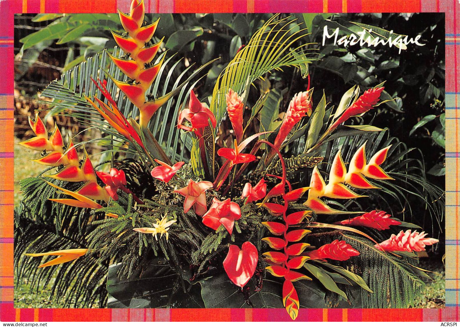 97 MARTINIQUE  Création Florale Des Tropiques Par Joél Et Yannick LAZENNEC Fort De France  (Scan R/V) N°  37   \PB1109 - Fort De France
