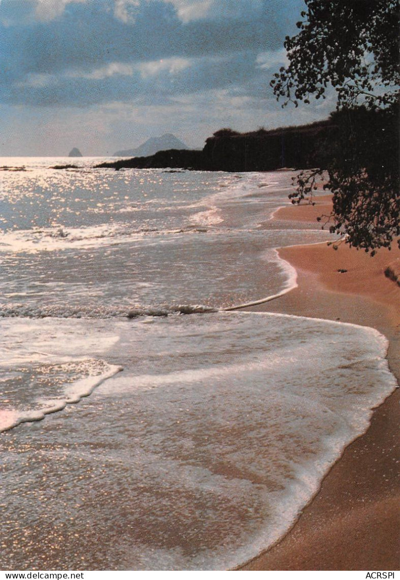 97  MARTINIQUE  Sainte-Anne Plage Des Salines (Scan R/V) N°   50   \PB1108 - La Trinite