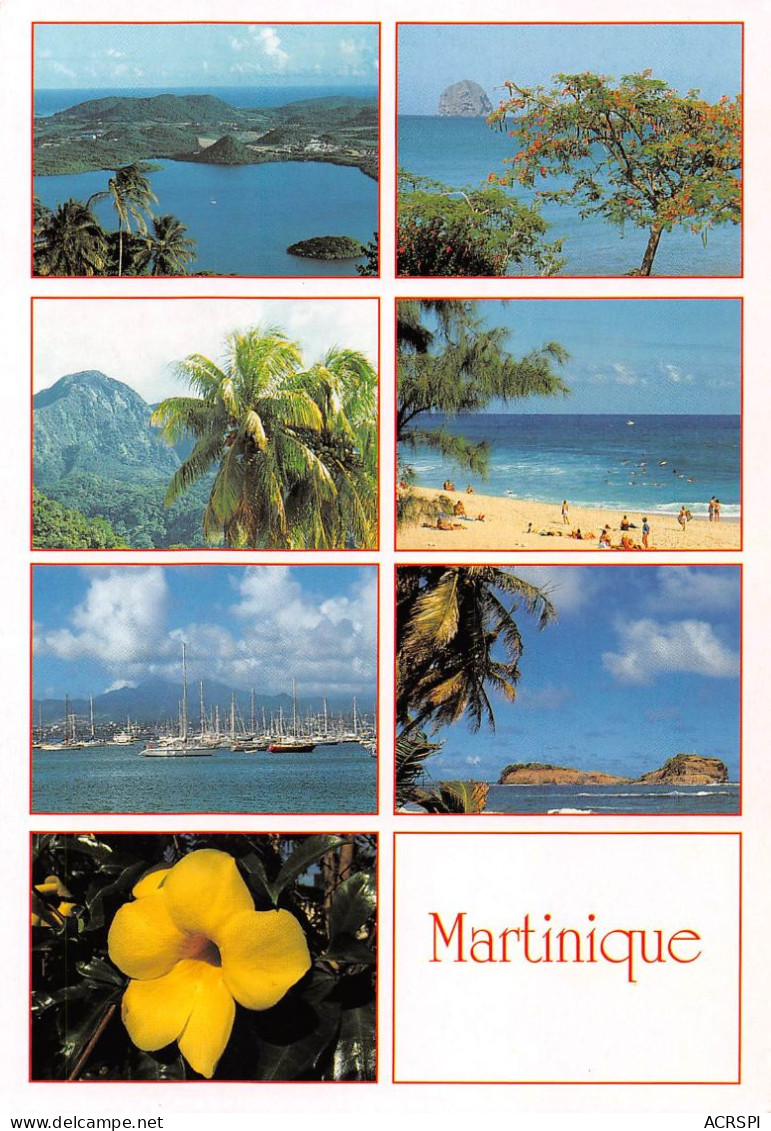 97  MARTINIQUE  Marin Diamant Morne Vert Alamanda (Scan R/V) N°   46   \PB1108 - Fort De France