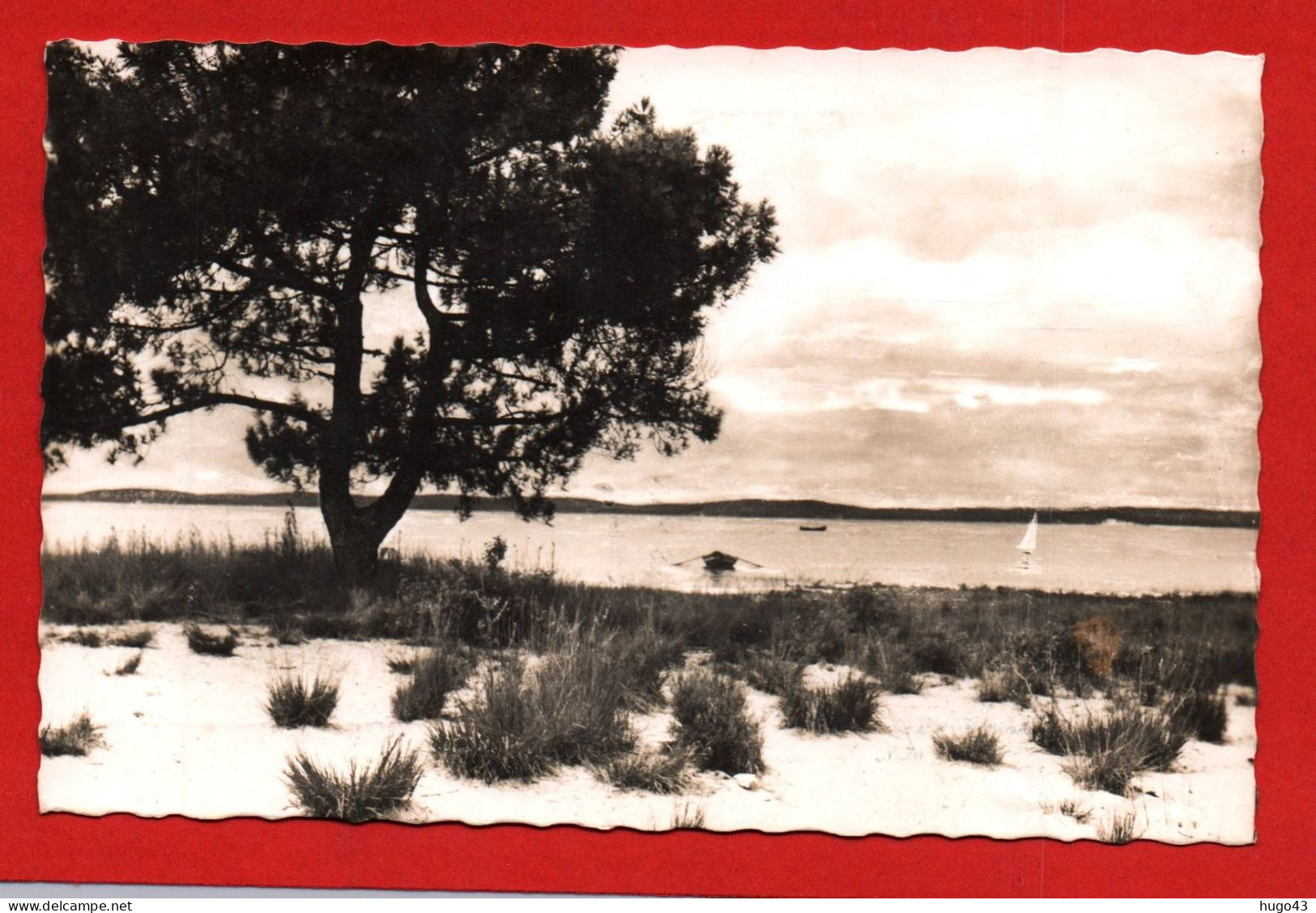 (RECTO / VERSO) LACANAU VILLE EN 1948 - LE PIN TORDU - FLAMME DAGUIN - FORMAT CPA - Arcachon