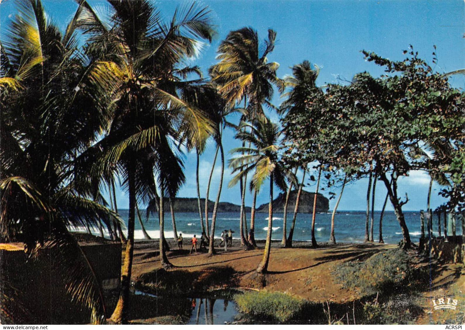 97  MARTINIQUE Bord De Mer à Sainte Marie   (Scan R/V) N°   38   \PB1108 - La Trinite