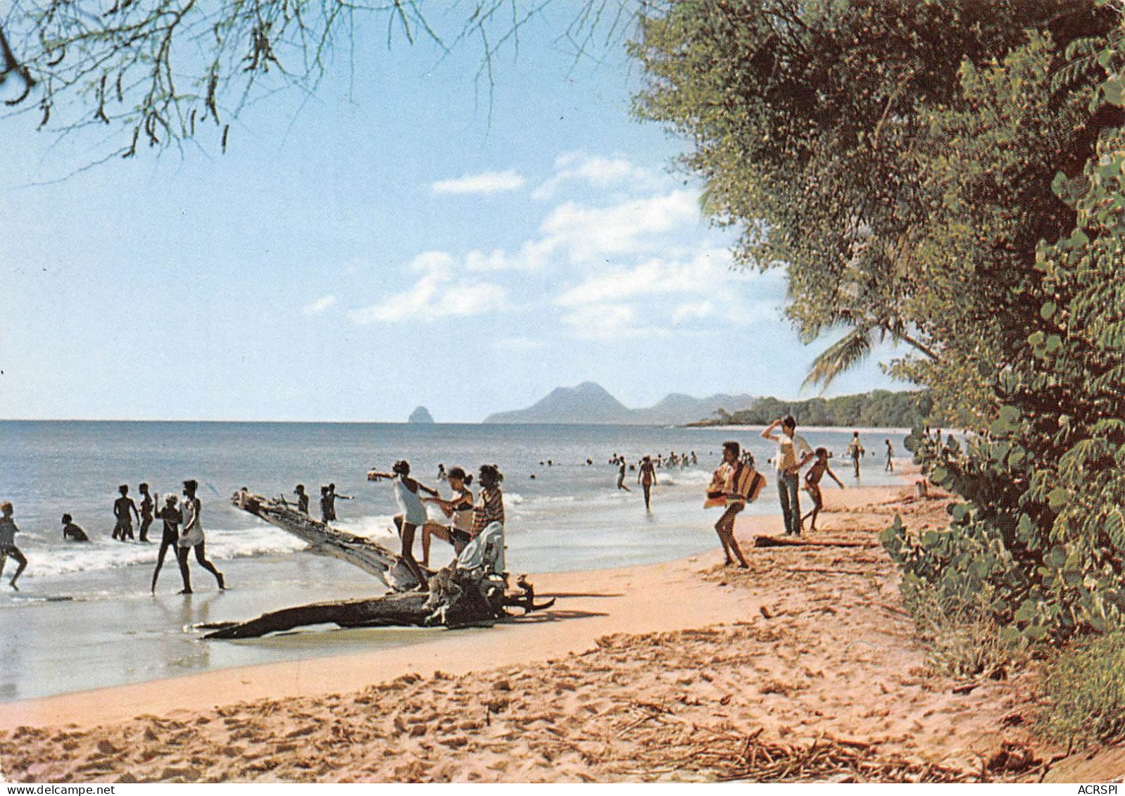 97  MARTINIQUE  Plage Des Salines   (Scan R/V) N°   39   \PB1108 - La Trinite