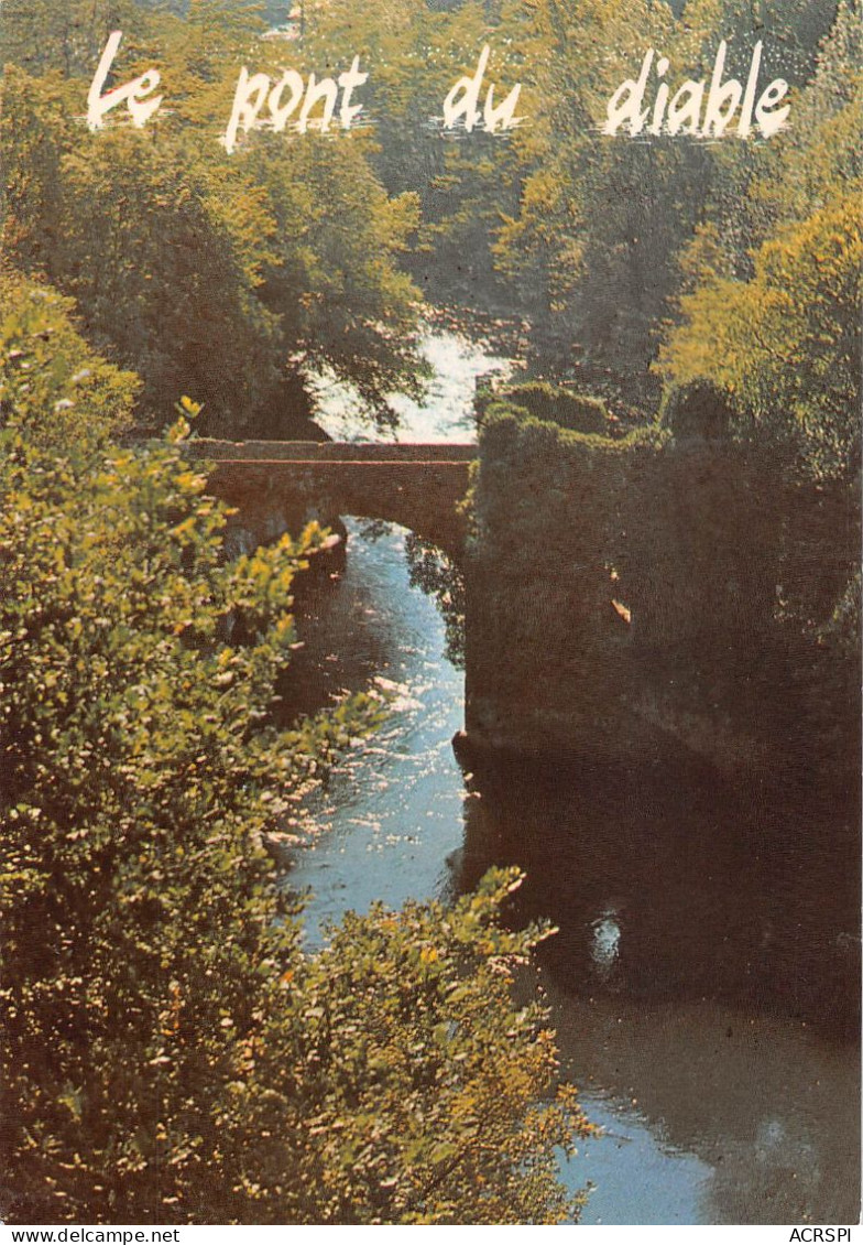 09 Le Pont Du Diable Entre FOIX Et TARASCON Sur Ariège (Scan R/V) N°   24   \PB1118 - Foix