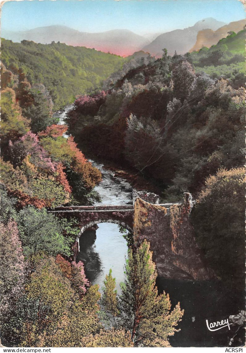 09 Le Pont Du Diable Entre FOIX Et TARASCON (Scan R/V) N°   23   \PB1118 - Foix