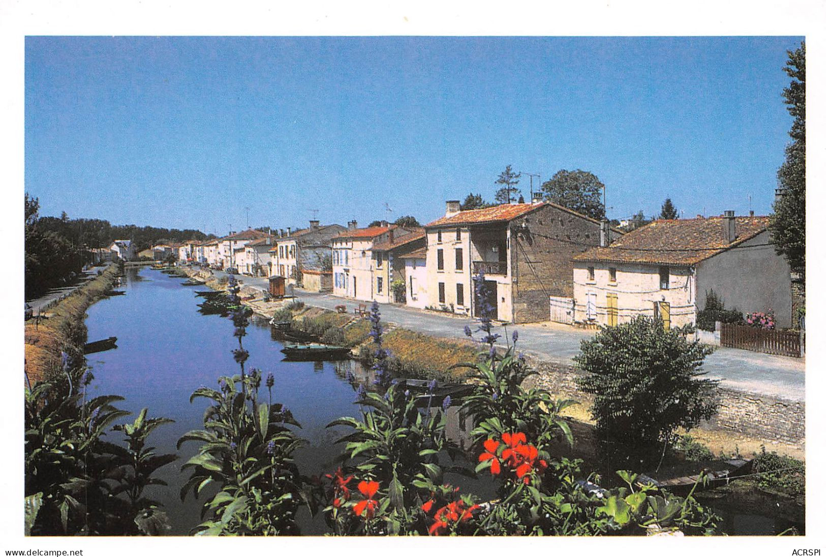 79  Coulon  La Venise Verte D.Silverstein  (Scan R/V) N°   17   \PB1116 - Niort