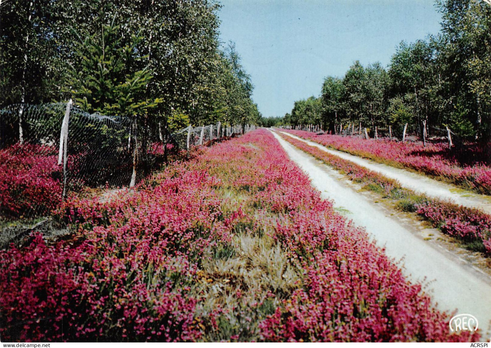 18 VIERZON  Le Chemin Des Bruyères            (Scan R/V) N°   3   \PB1115 - Vierzon