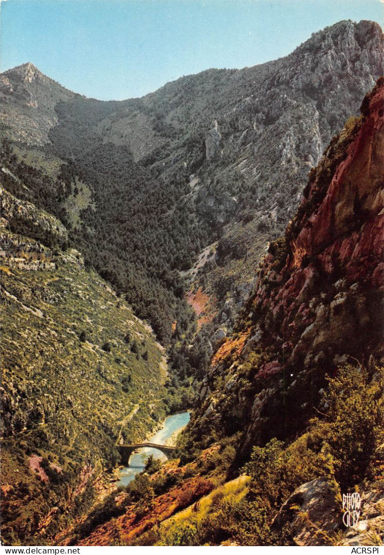 04 Rougon Le Pont De TUSSET  (Scan R/V) N°   17   \PB1114 - Forcalquier