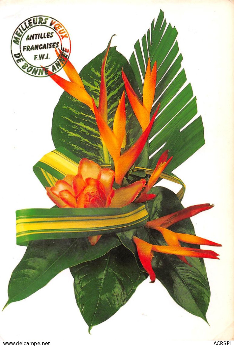 97 Guadeloupe  Fleurs Tropicales  (Scan R/V) N°   51   \PB1111 - Pointe A Pitre