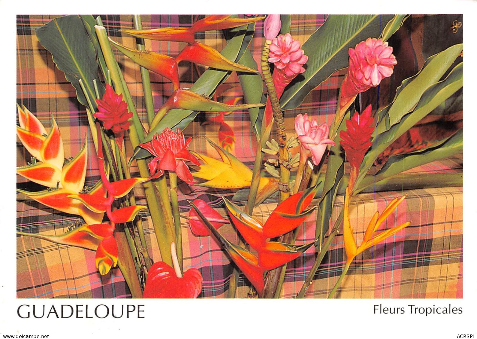 97 Guadeloupe  Fleurs Tropicales (Scan R/V) N°   41   \PB1111 - Saint Barthelemy