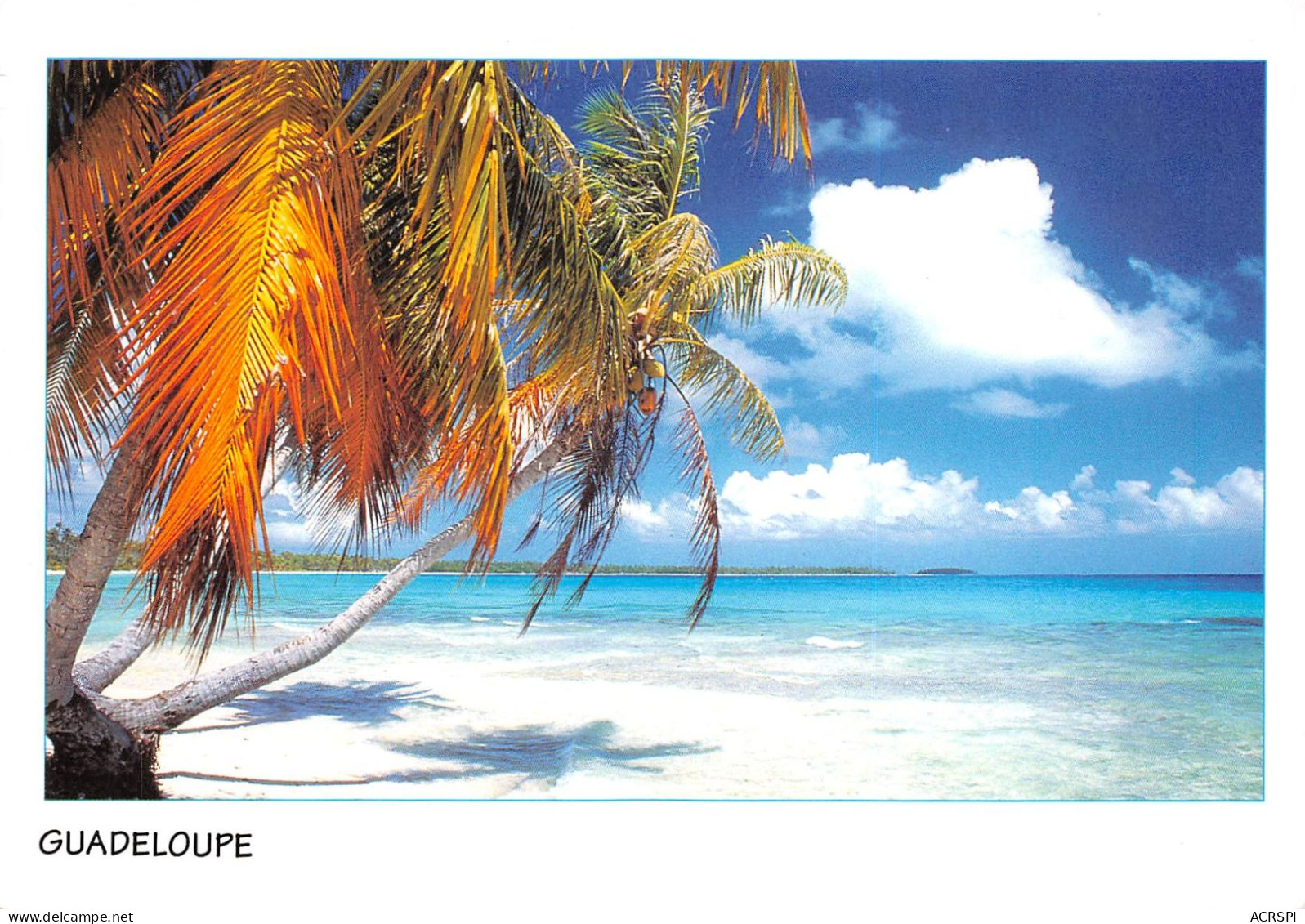 97 Guadeloupe  Marie-Galante Plage  (Scan R/V) N°   29   \PB1111 - Pointe A Pitre