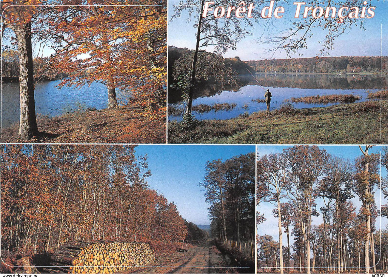 03   Cérilly Forêt De Tronçais  (Scan R/V) N°   17   \PB1127 - Montlucon